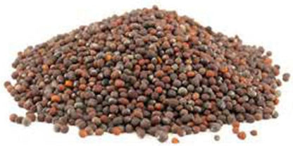 Non-Gmo Broccoli Seeds for Sprouting Sprouts Microgreens - Broccoli Sprouts 2Oz
