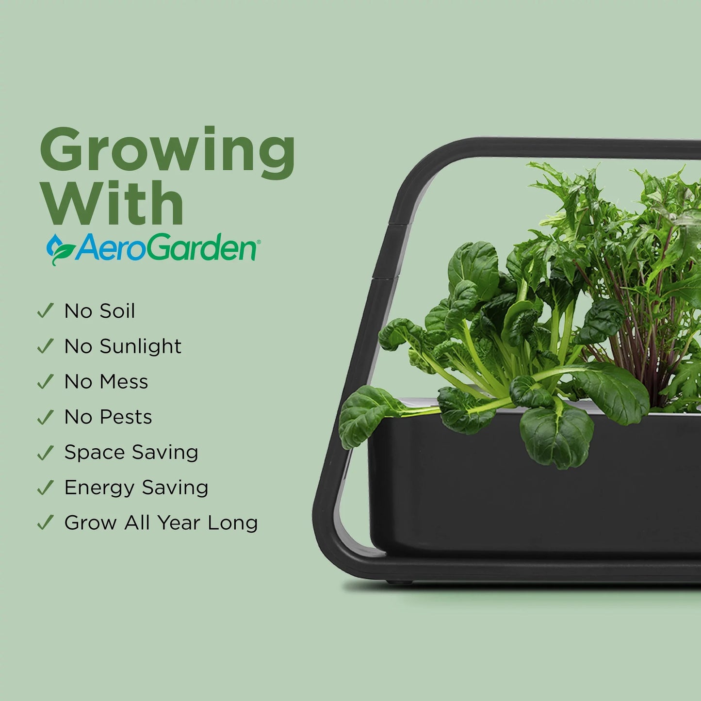 Sprout with Gourmet Herbs Seed Pod Kit, Black